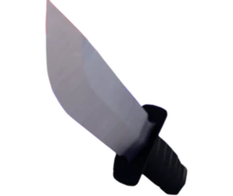 Knife